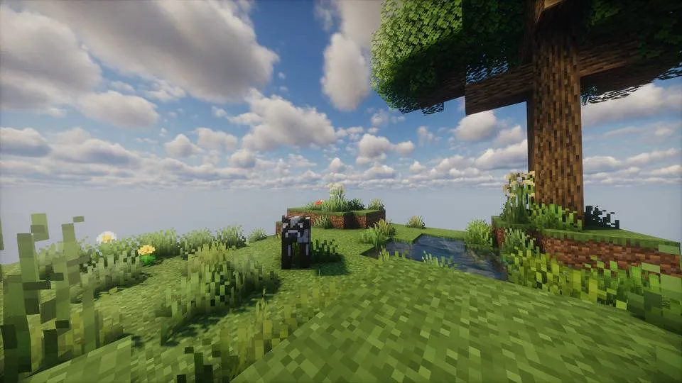 One Chunk, Карты, Minecraft