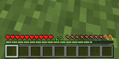 Bedrock XP Bar, Текстуры, Minecraft