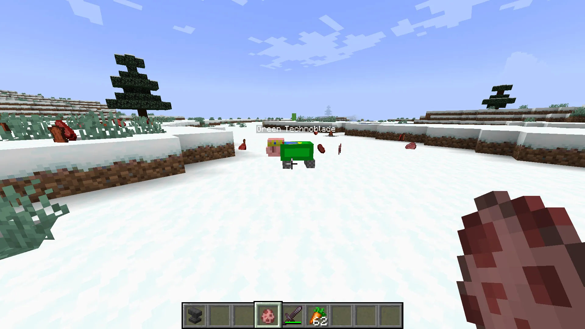 Technoblade PIg Nametag, Текстуры, Minecraft