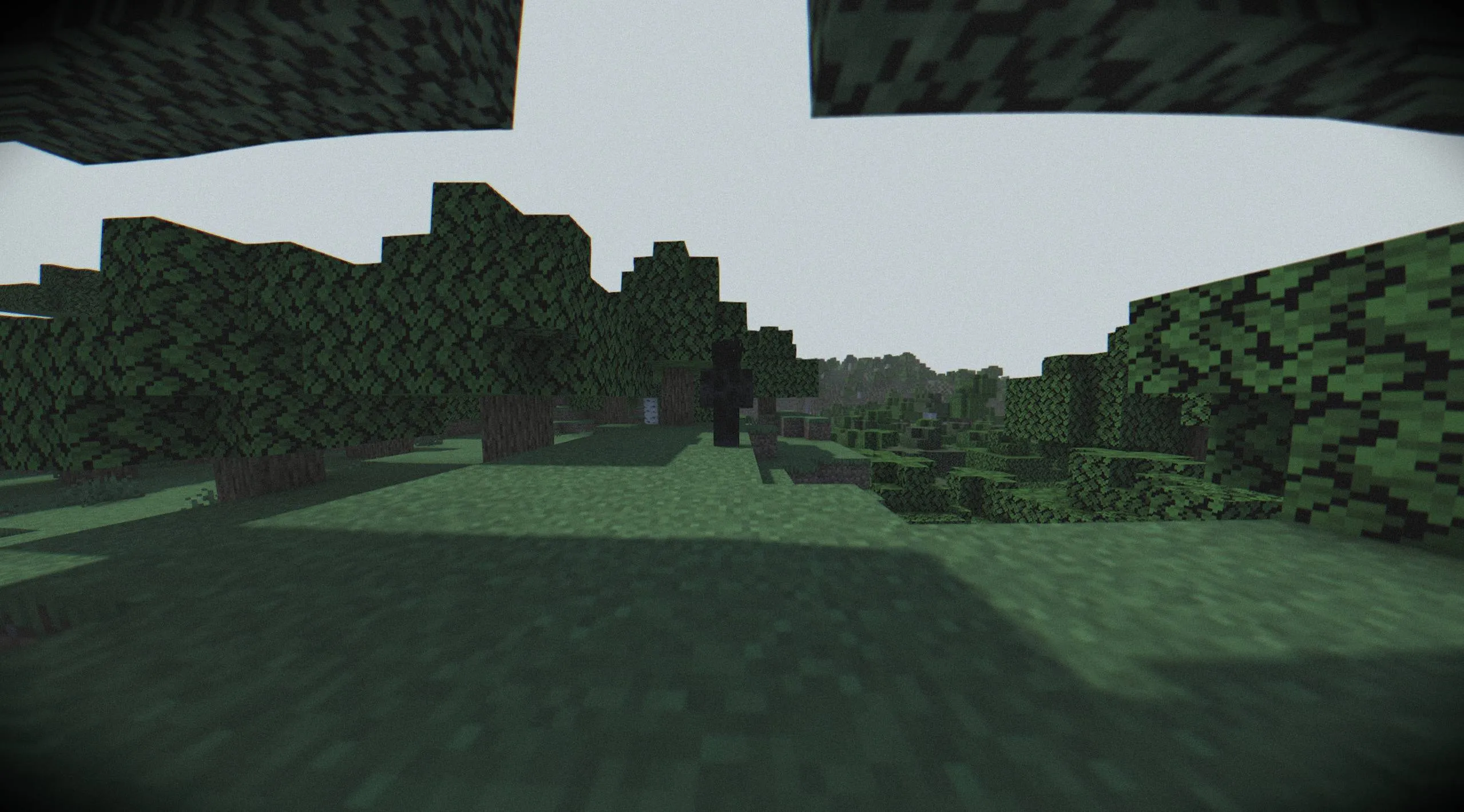 DONT LOOK INTO THE FOG[DISCONTINUED] — скриншот 5 (Моды, Minecraft)
