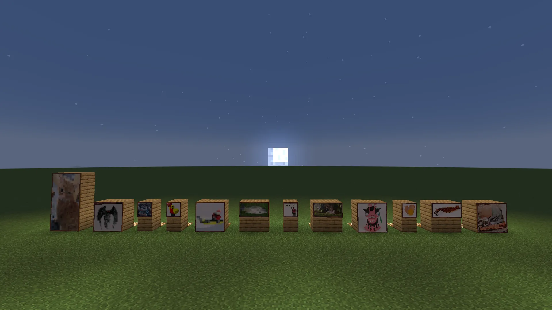 Homemade Beyond Shiny — скриншот 3 (Моды, Minecraft)