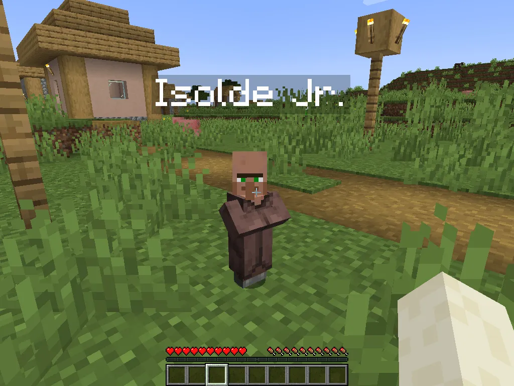 Custom Villager Names — скриншот 4 (Моды, Minecraft)