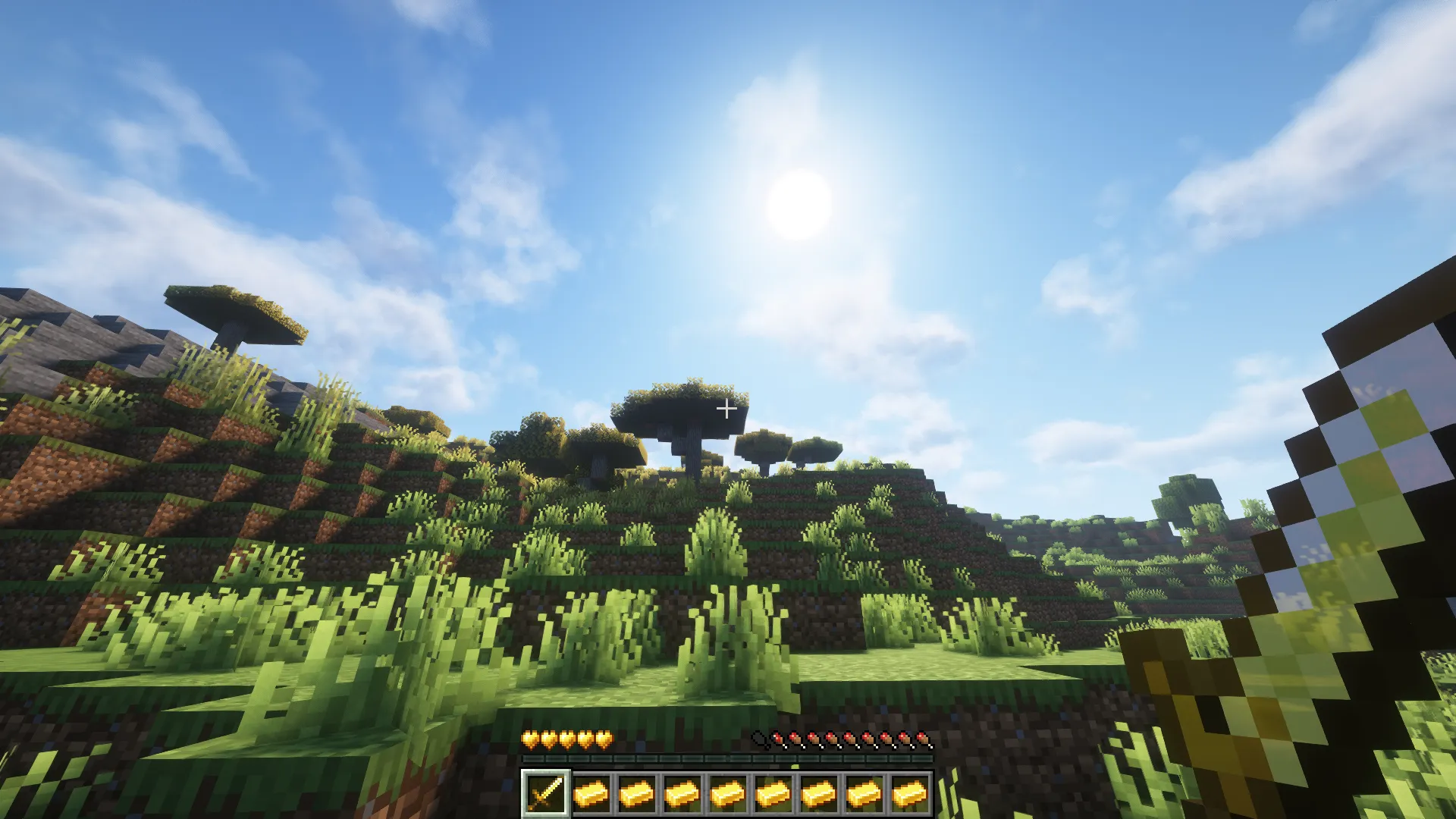 Paulo Hearts - Sr_Paulo, Текстуры, Minecraft