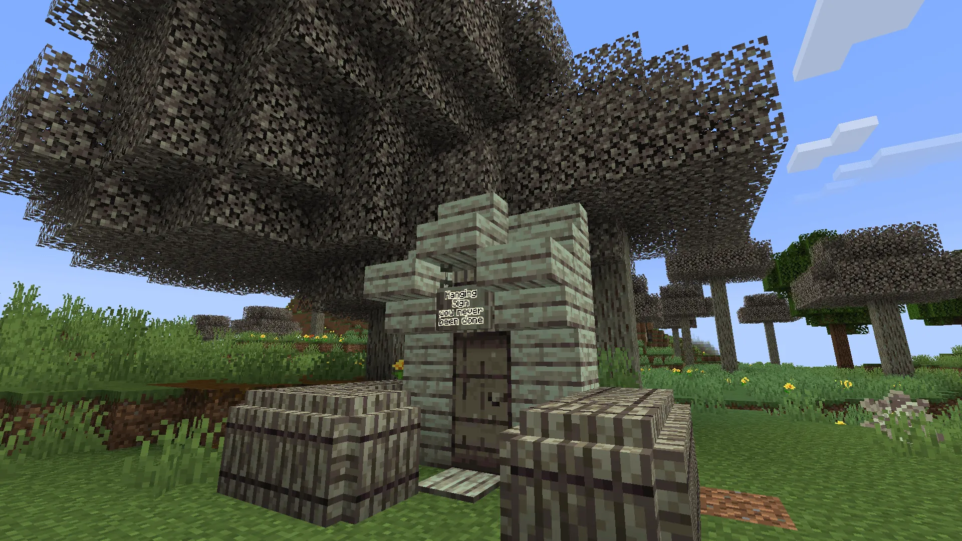 NeoBallerite, Моды, Minecraft