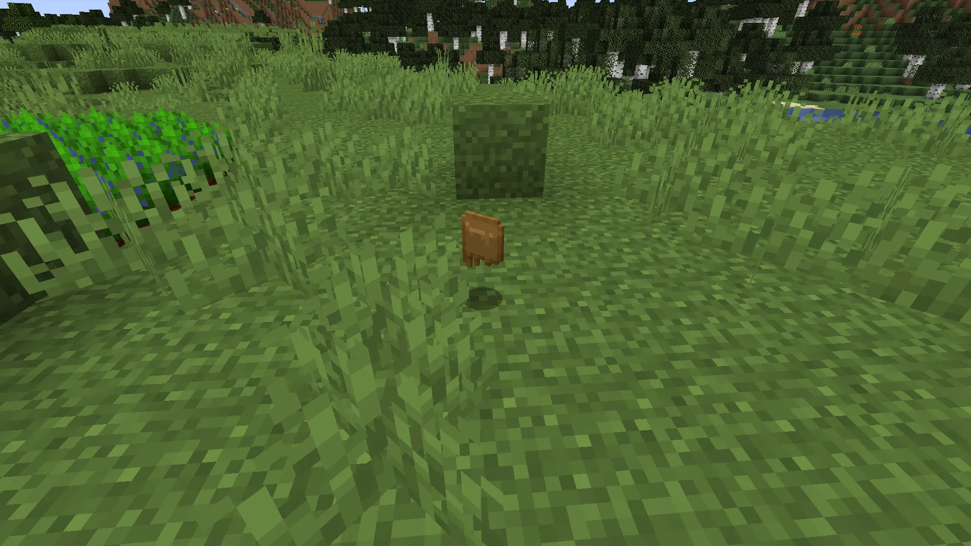Cook It!, Моды, Minecraft