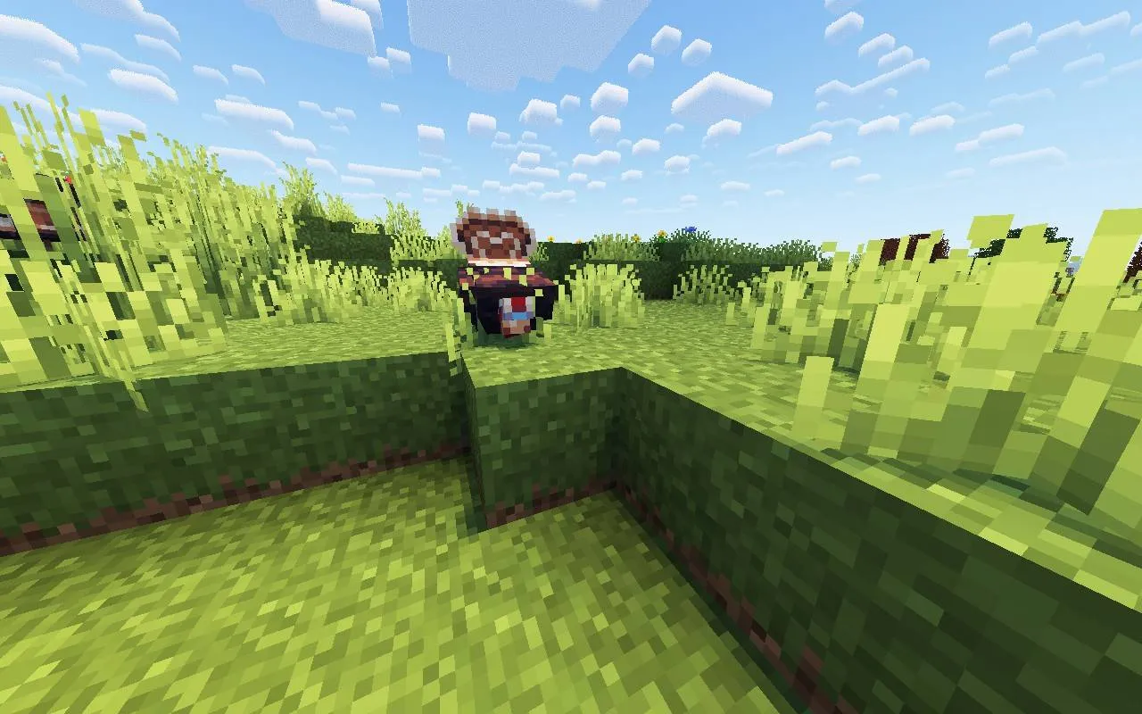 Abnormally Fresh, Текстуры, Minecraft