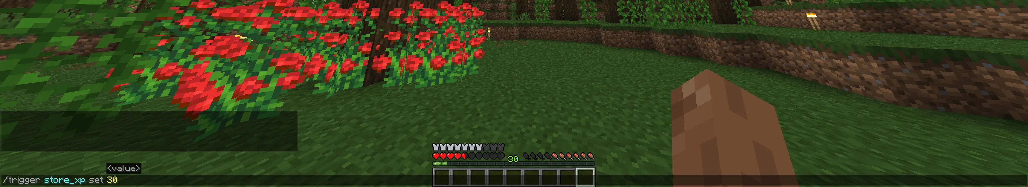 Xp Bottler, Дата-паки, Minecraft