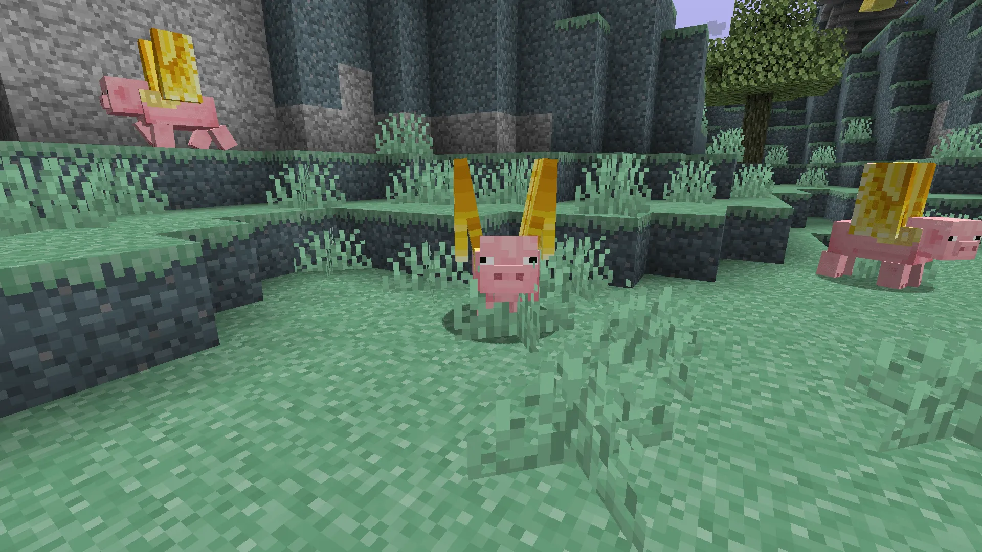 Fresh Aether, Текстуры, Minecraft