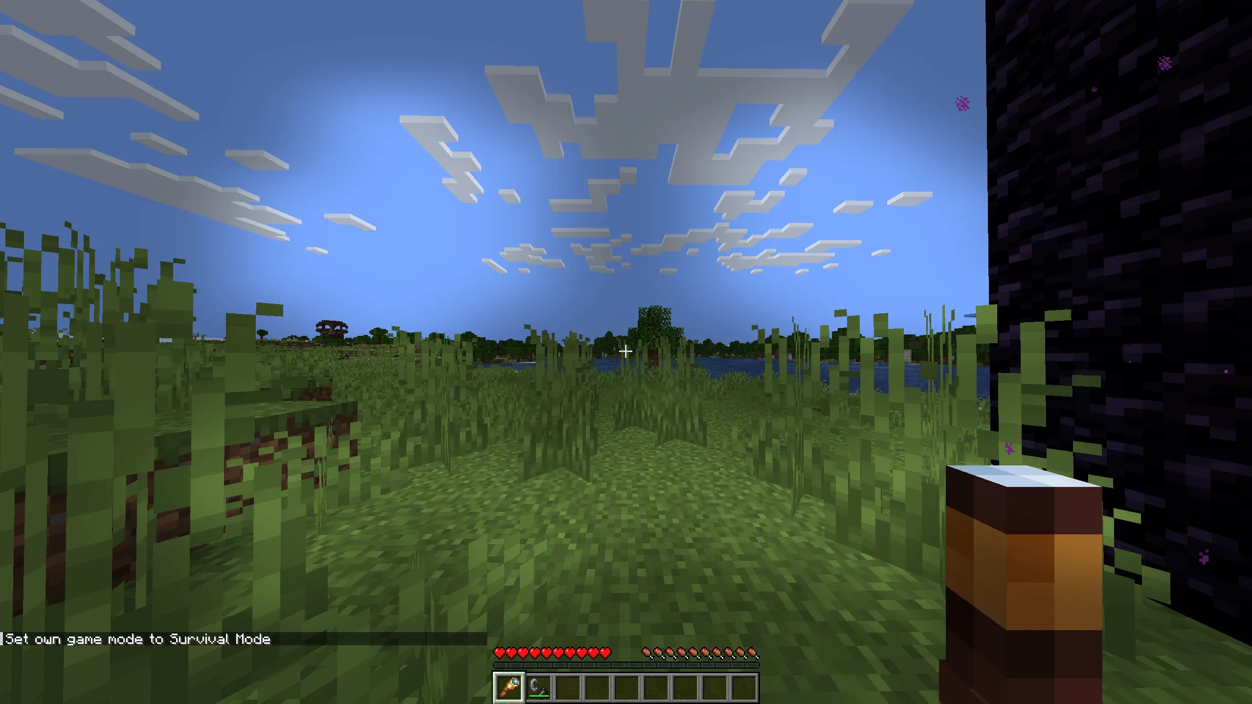 Clearviews, Моды, Minecraft