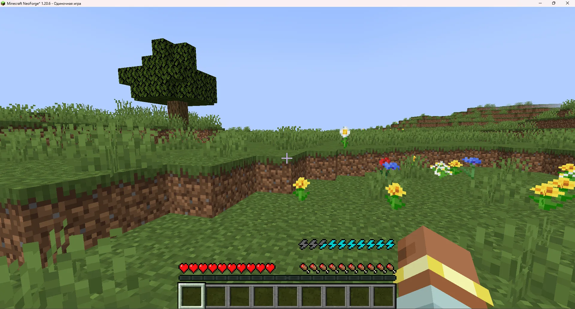 Energy Stamina, Моды, Minecraft