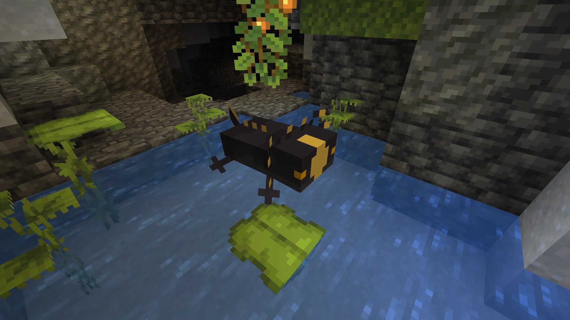 Lissiceous Axolotls, Текстуры, Minecraft