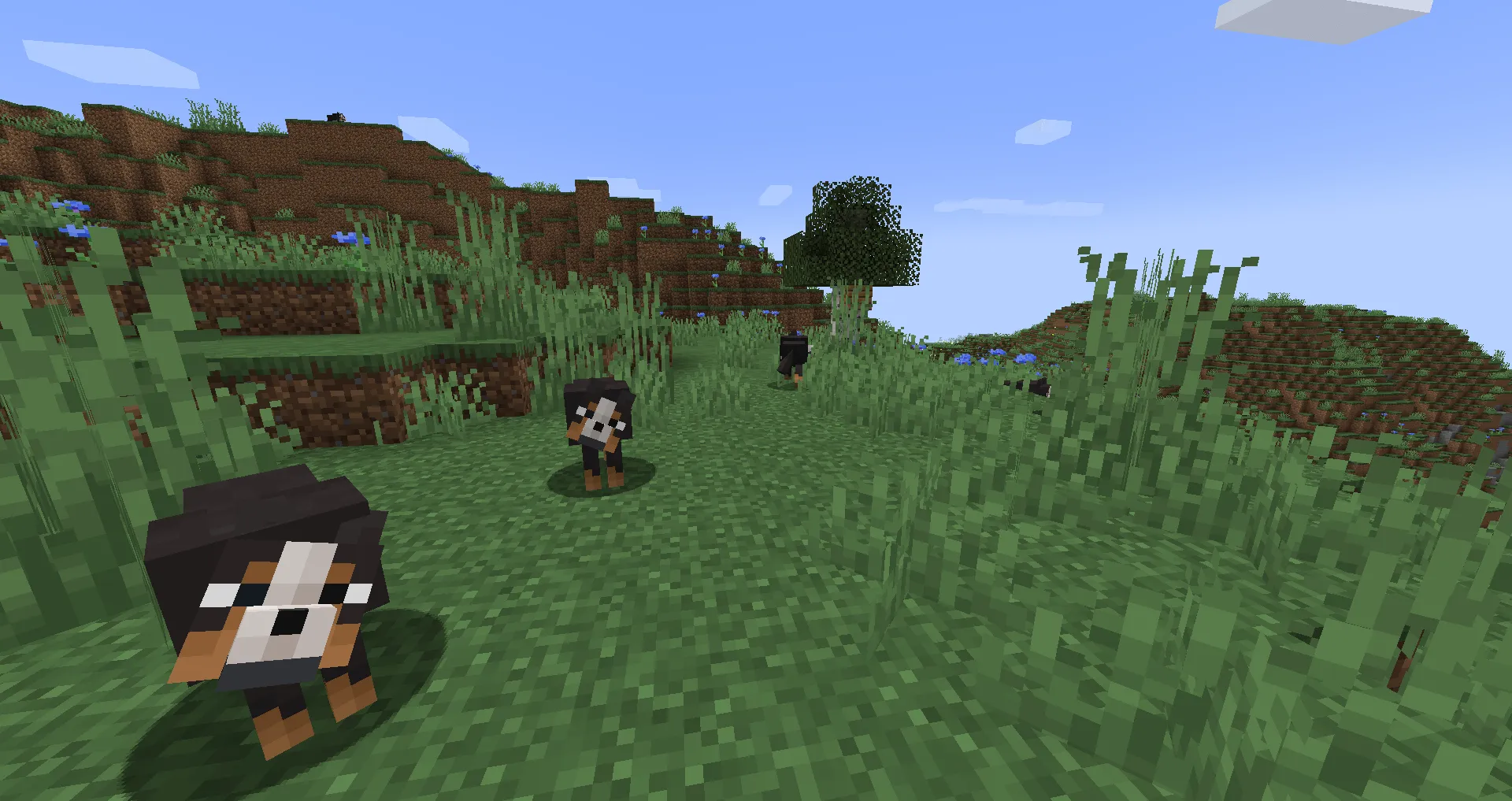 More Wolfs, Моды, Minecraft