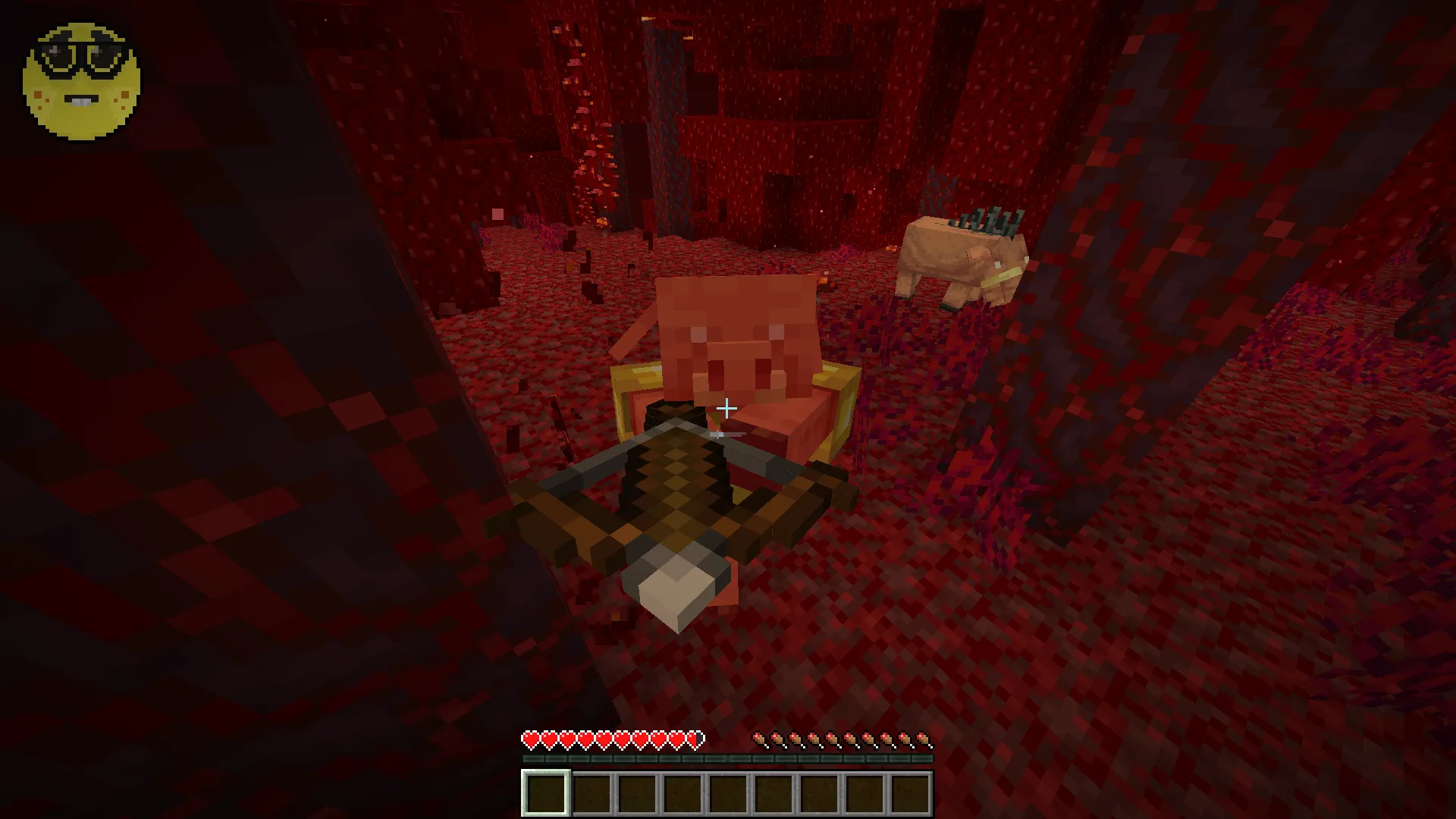 Nerd on HUD — скриншот 3 (Моды, Minecraft)