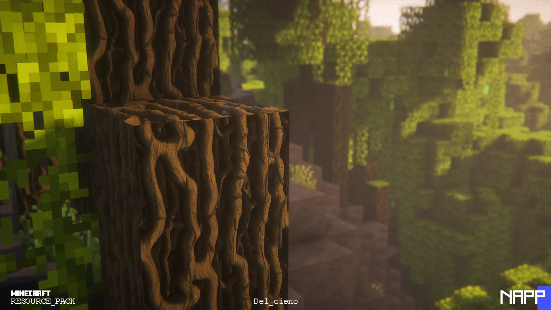 NAPP — скриншот 8 (Текстуры, Minecraft)