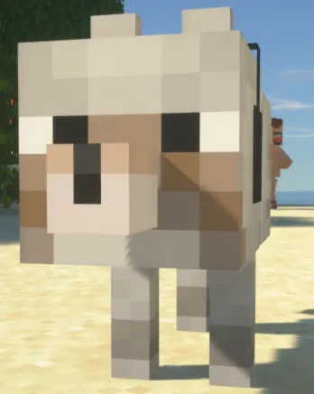 Raffie's dum resource pack, Текстуры, Minecraft