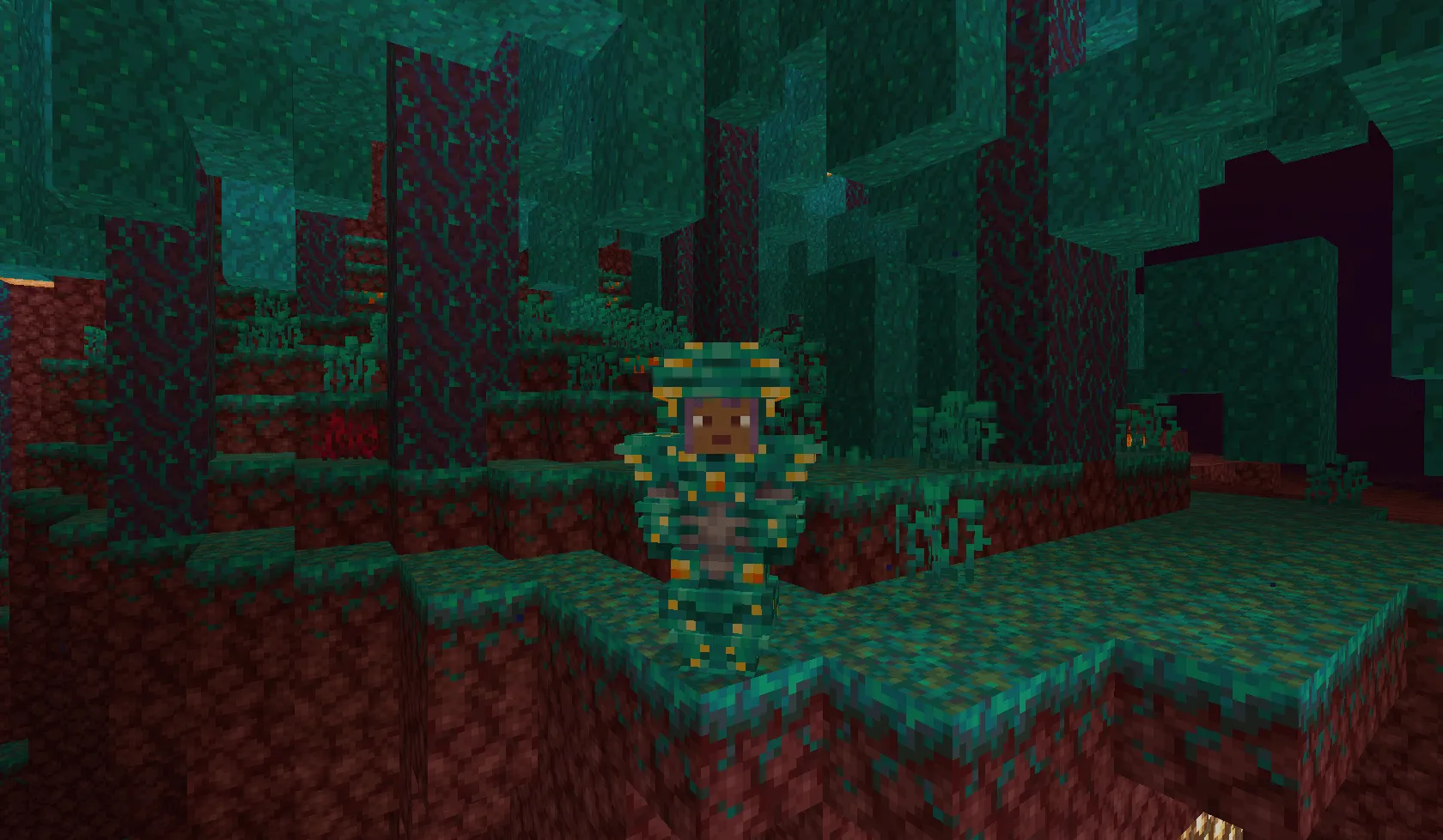 Nether Armory, Моды, Minecraft