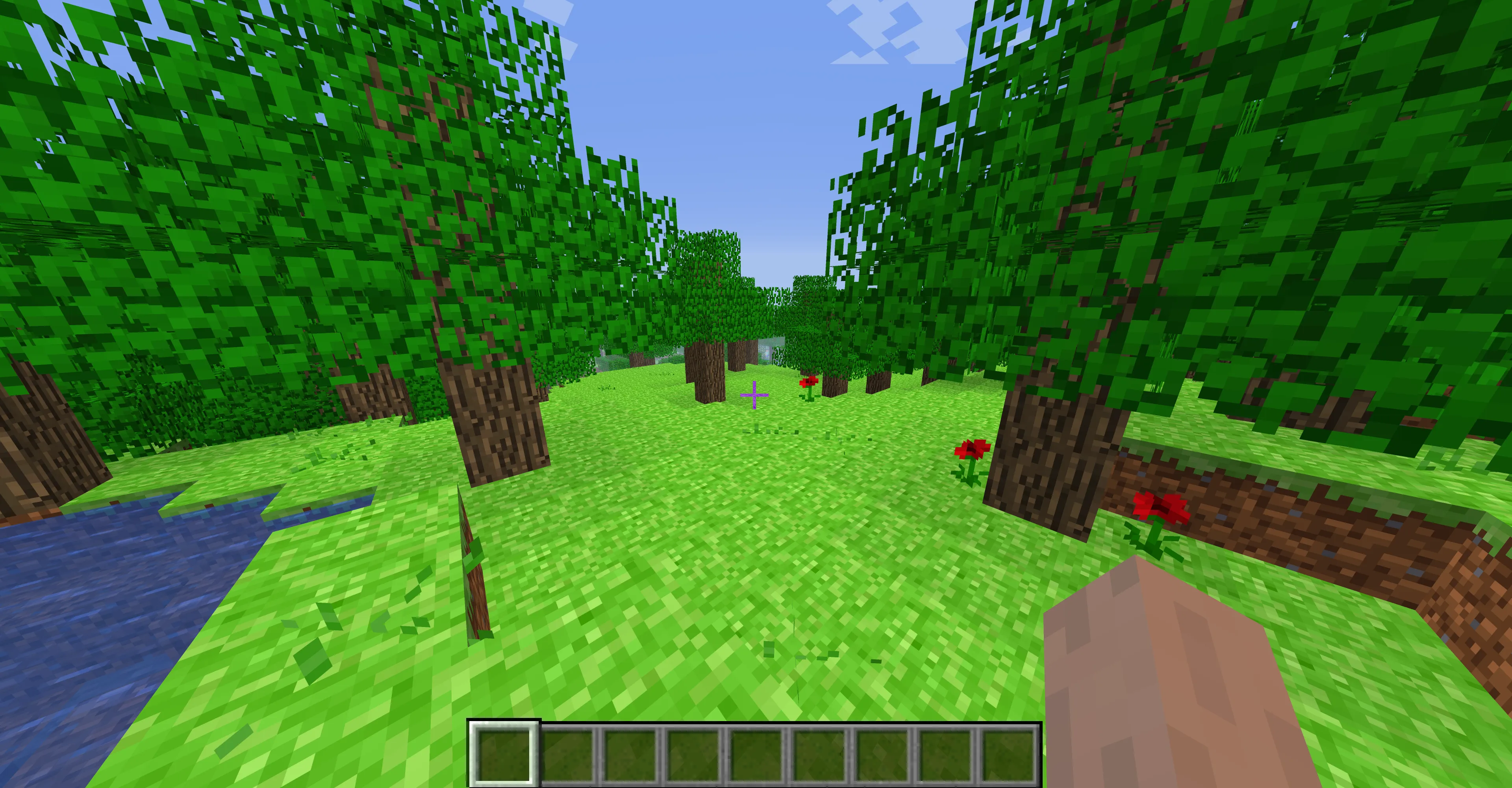Early Beta Minecraft, Текстуры, Minecraft