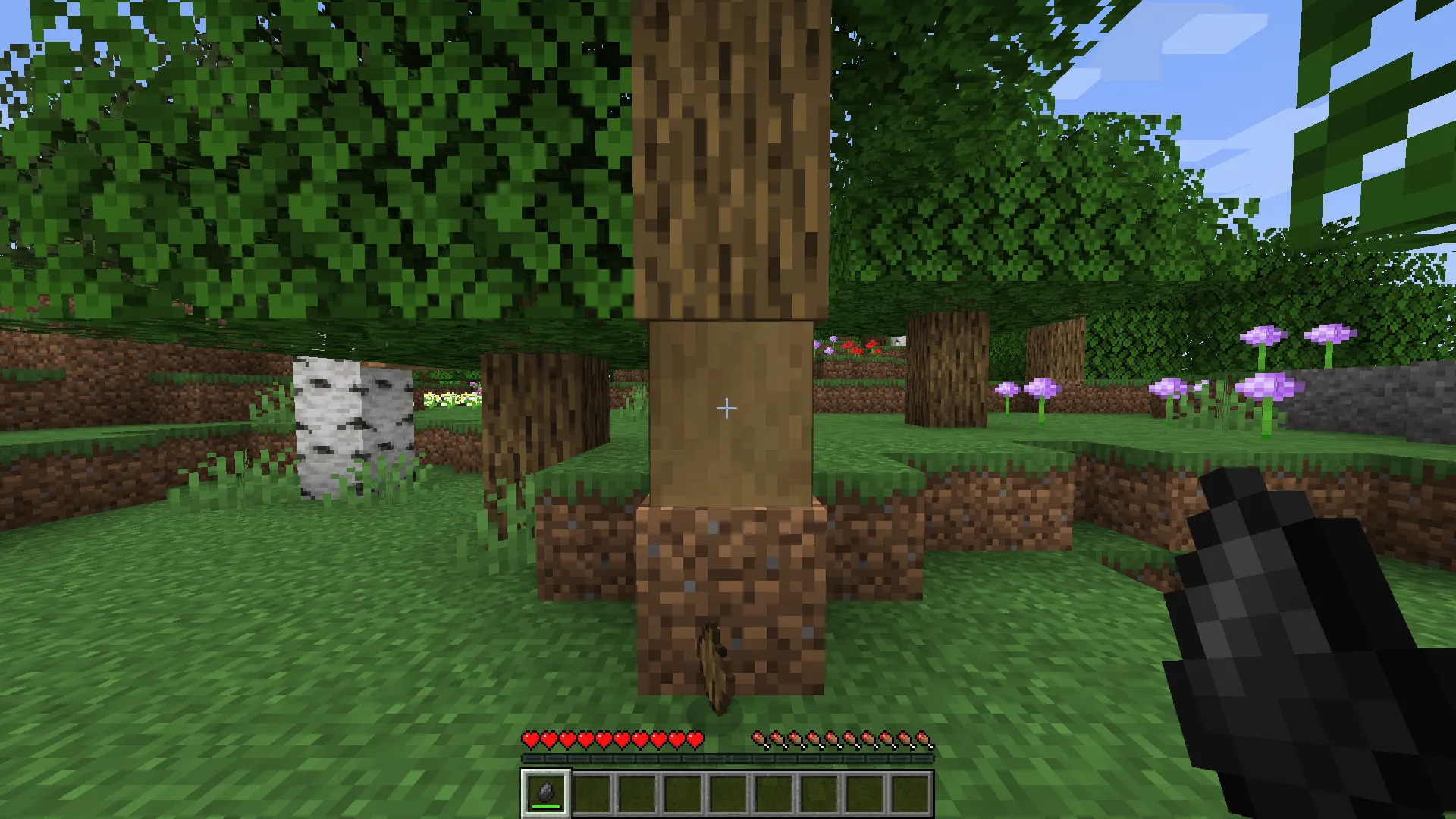 Snailspeed, Моды, Minecraft