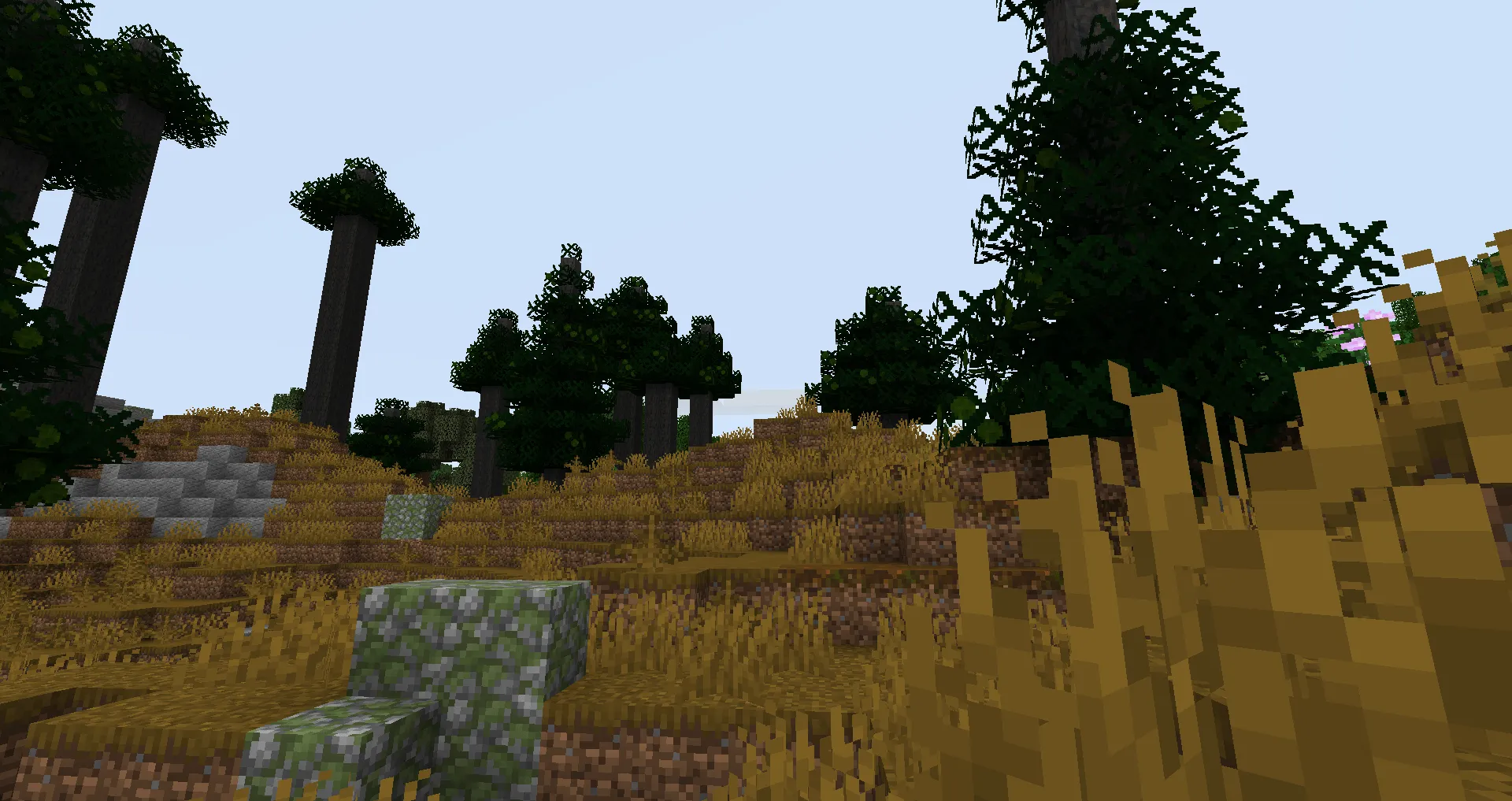 Caio Cesar's Biomes and Seasons, Моды, Minecraft