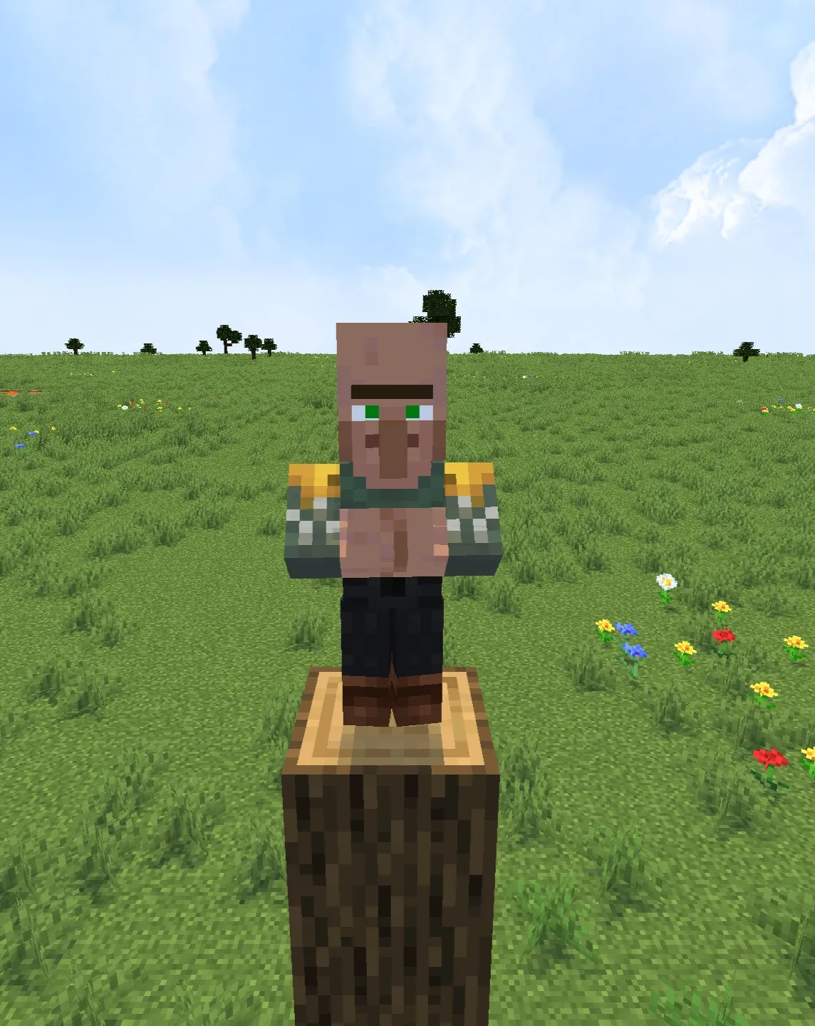 Modern Villagers! (Fresh Animations), Текстуры, Minecraft
