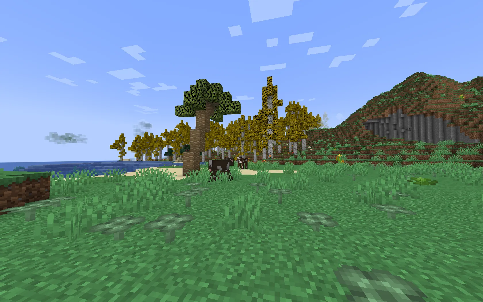 Decorate the World, Модпаки, Minecraft