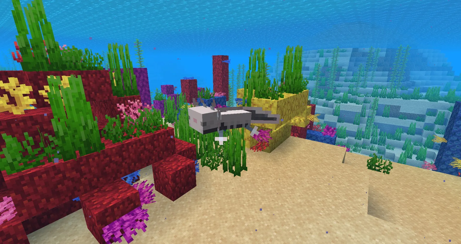 Holo Axolotl (require Optifine), Текстуры, Minecraft