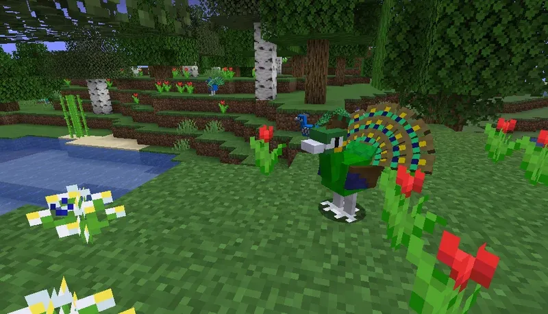 some chickens, Текстуры, Minecraft
