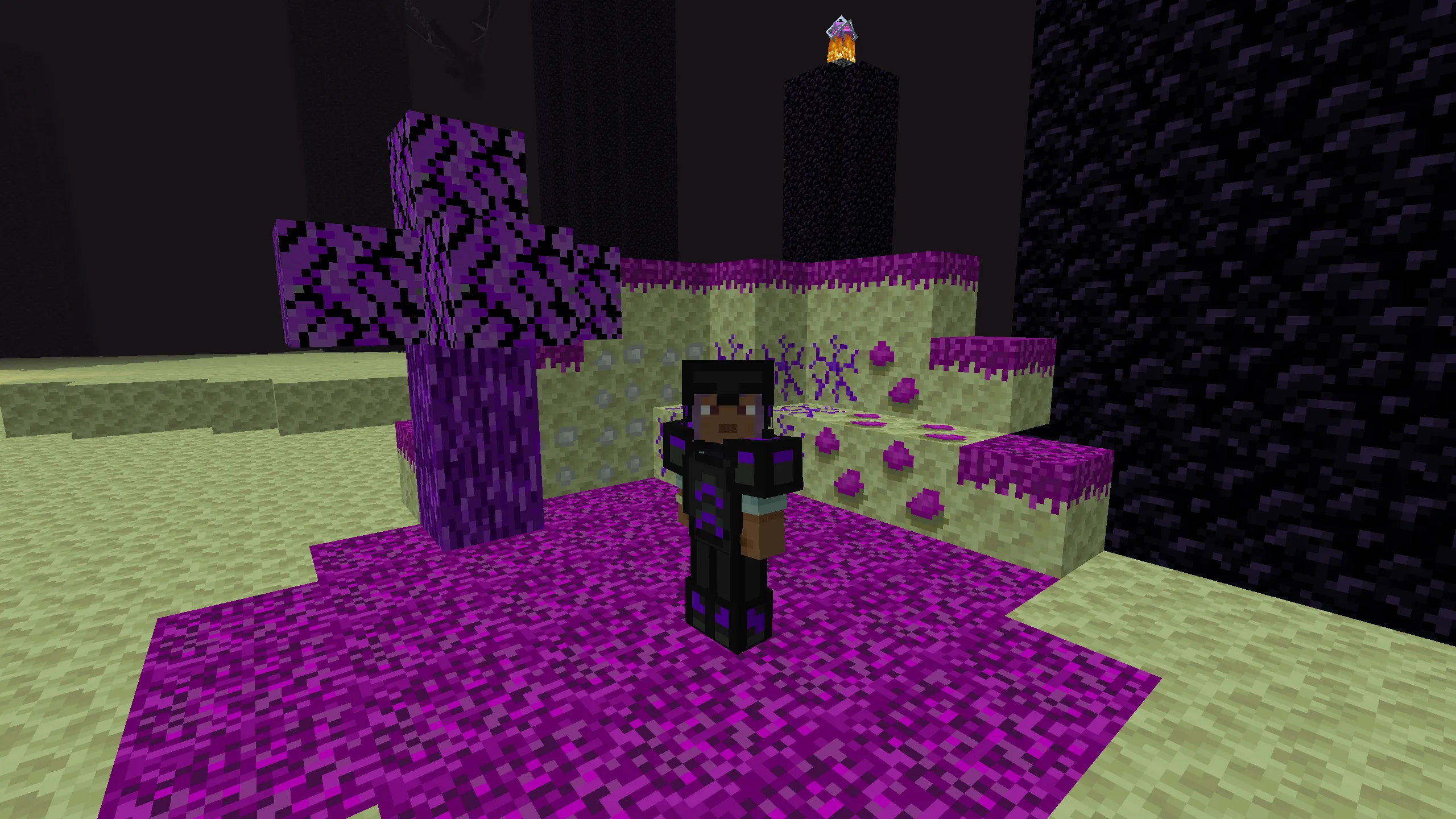 Marshlaw's Better End, Моды, Minecraft