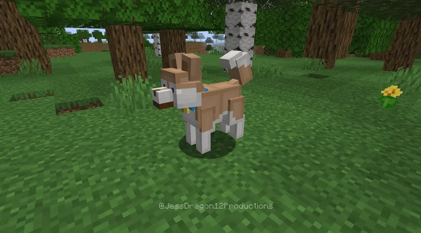 Doggy Dilemmas, Моды, Minecraft