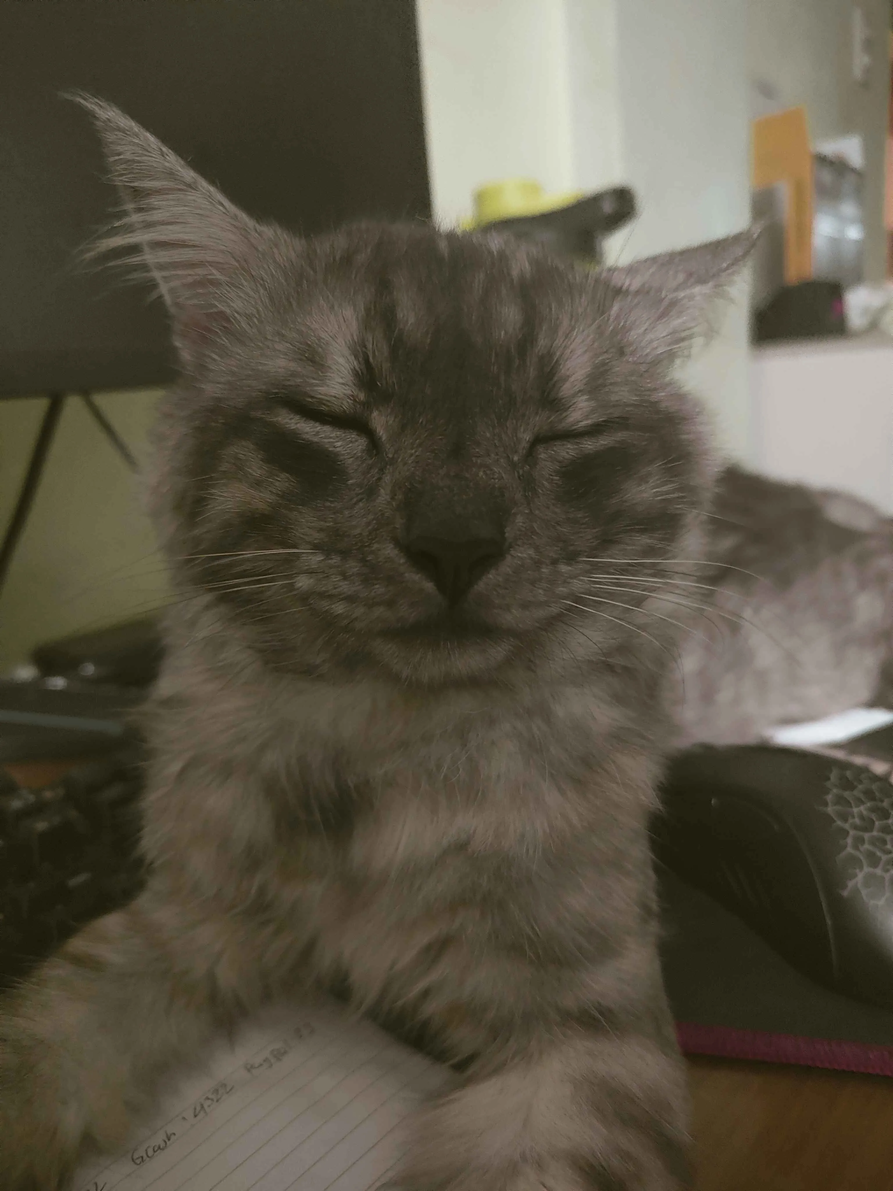 Bell Raid Config, Моды, Minecraft