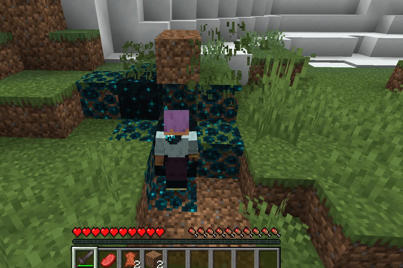 Sculk Dragon Utils, Моды, Minecraft