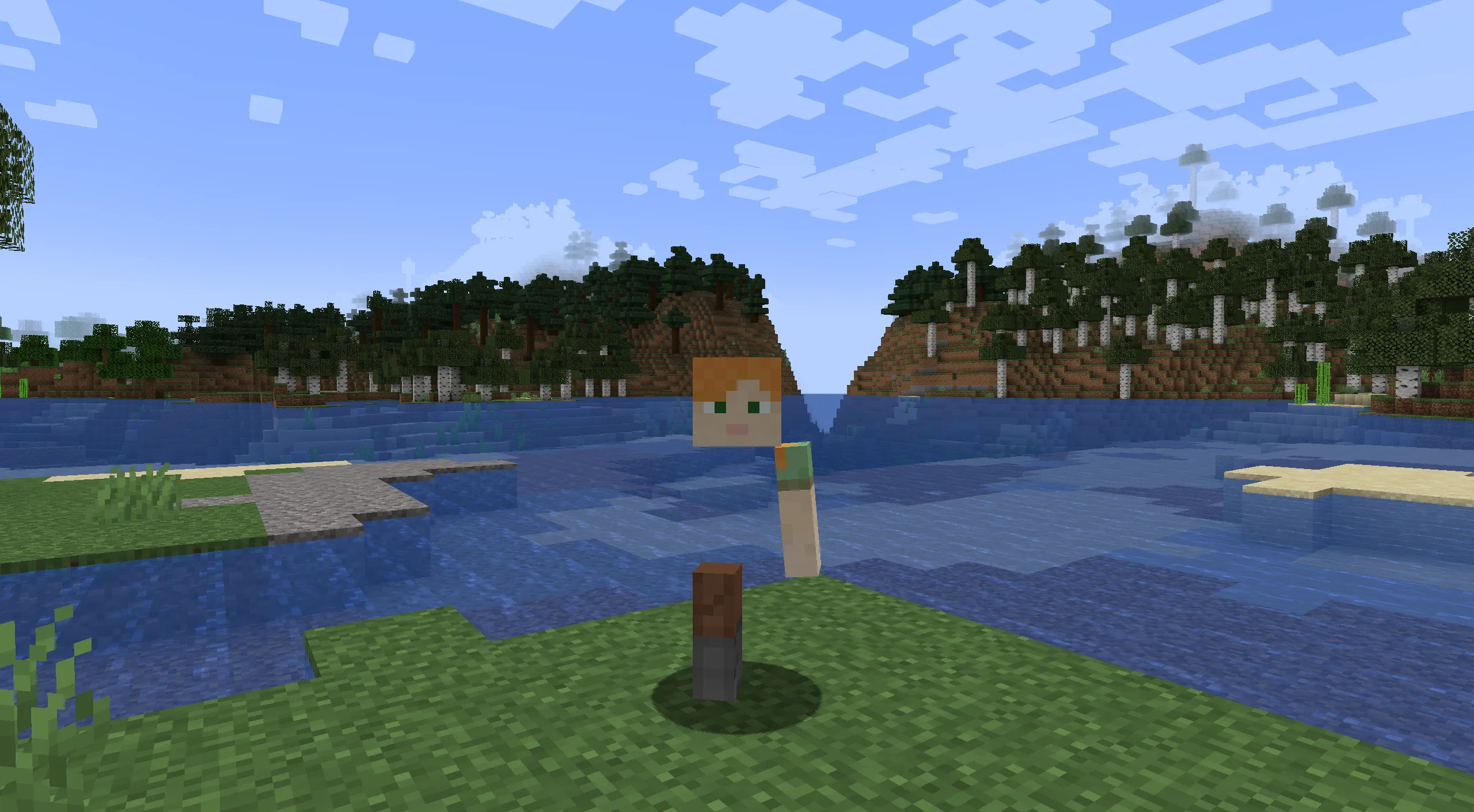 NeMuelch-HideBodyParts, Моды, Minecraft