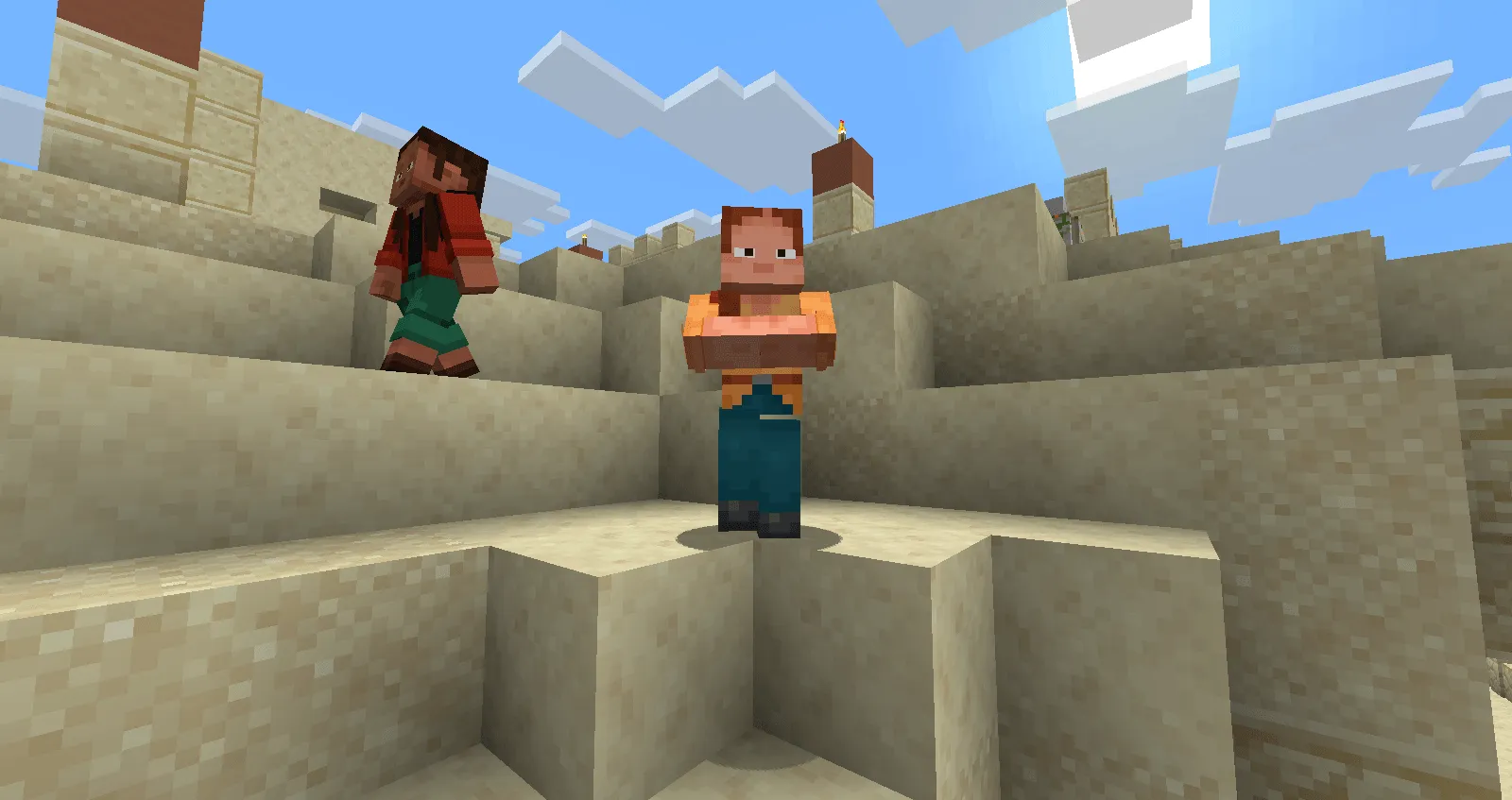 Alex And Steve Villagers, Текстуры, Minecraft