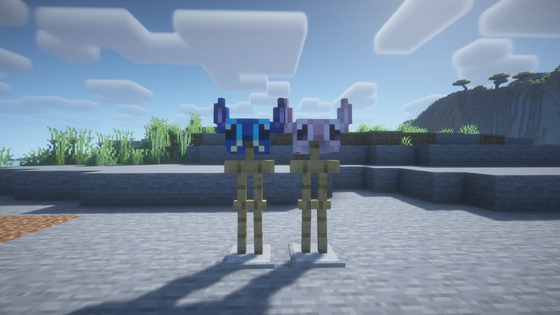 LDShadowLady's Disney Wish Rebrushed, Моды, Minecraft