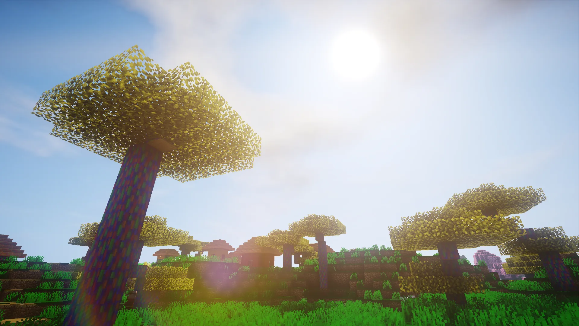 Biomes+ — скриншот 7 (Текстуры, Minecraft)