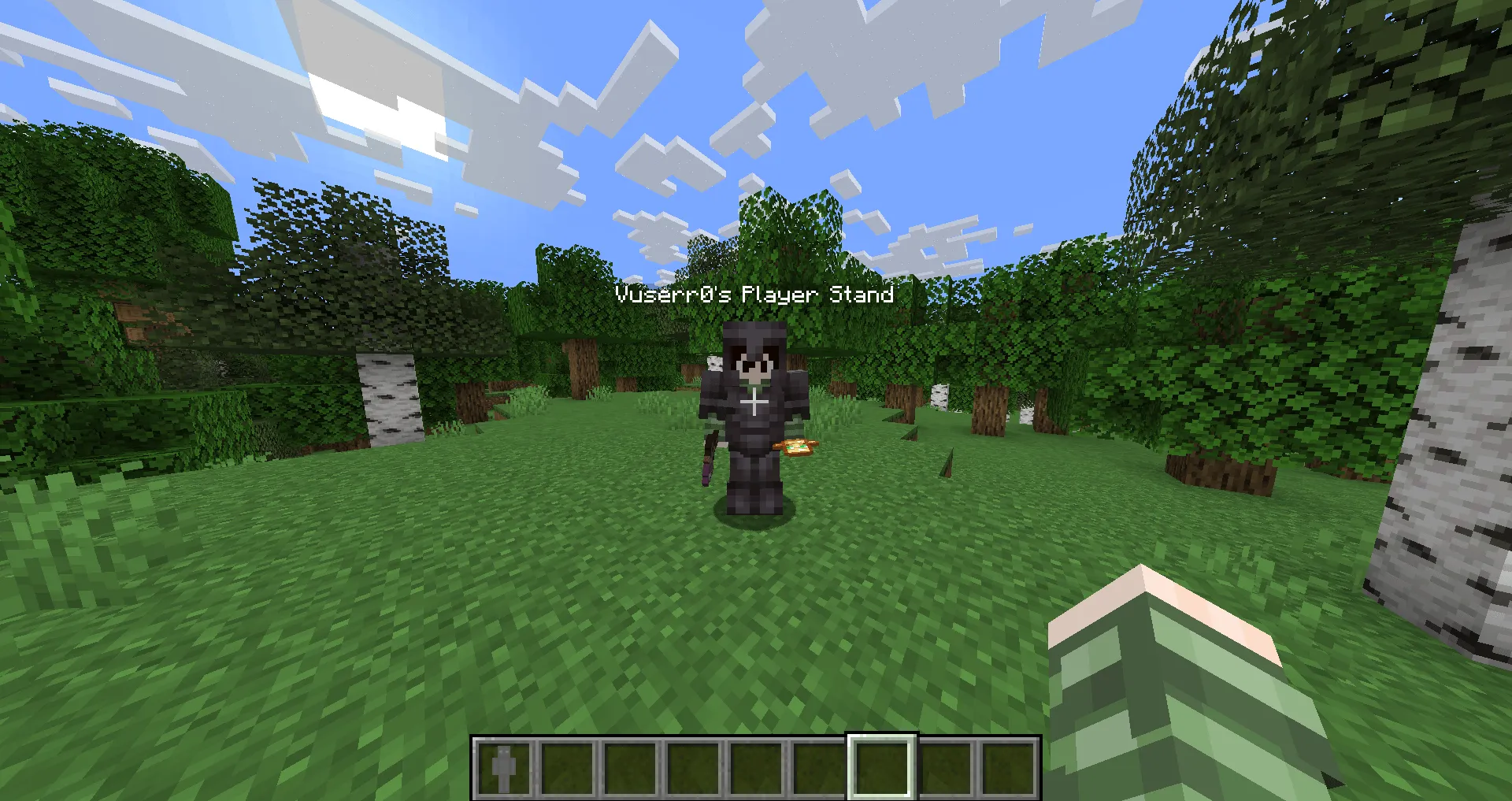 Player Stand, Моды, Minecraft