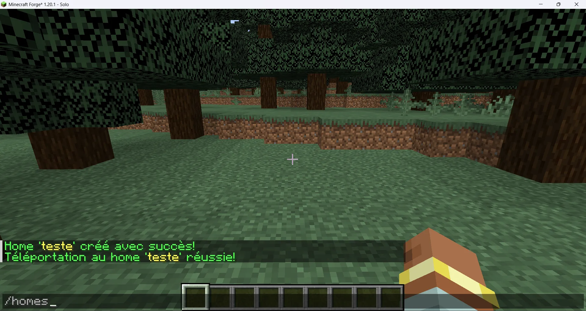 Set-Home Point — скриншот 6 (Моды, Minecraft)
