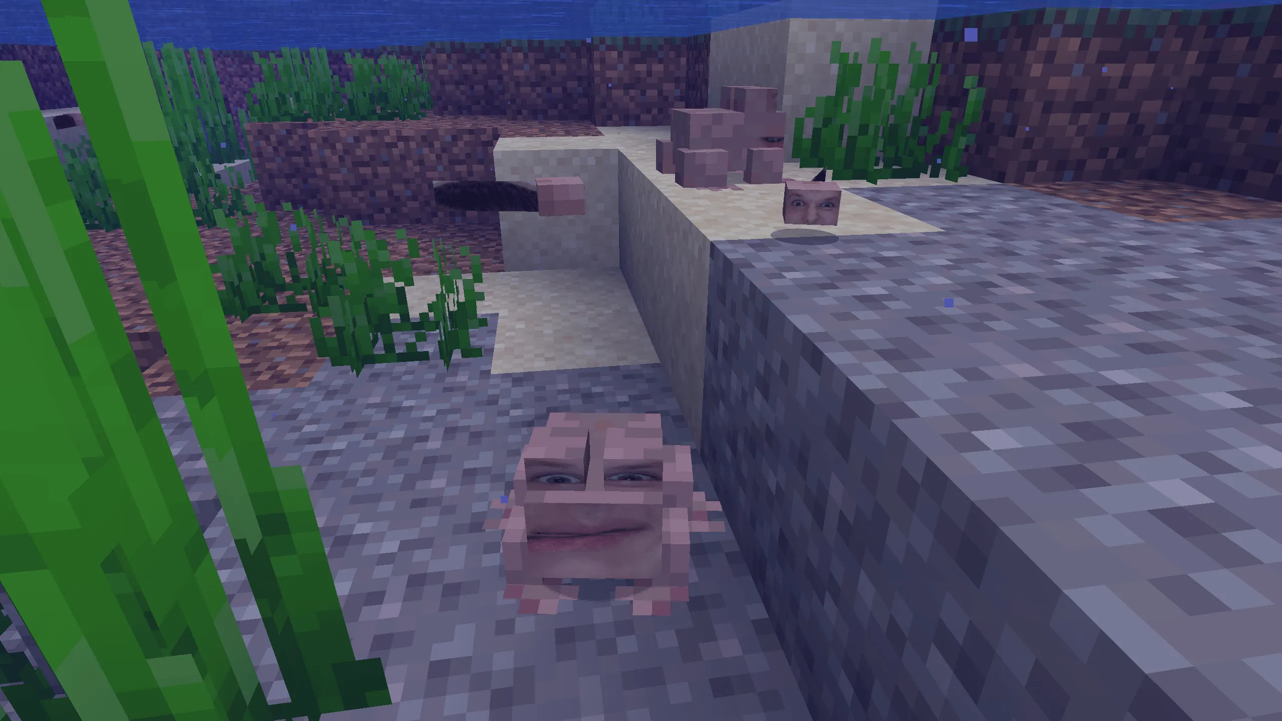 Roman, Текстуры, Minecraft