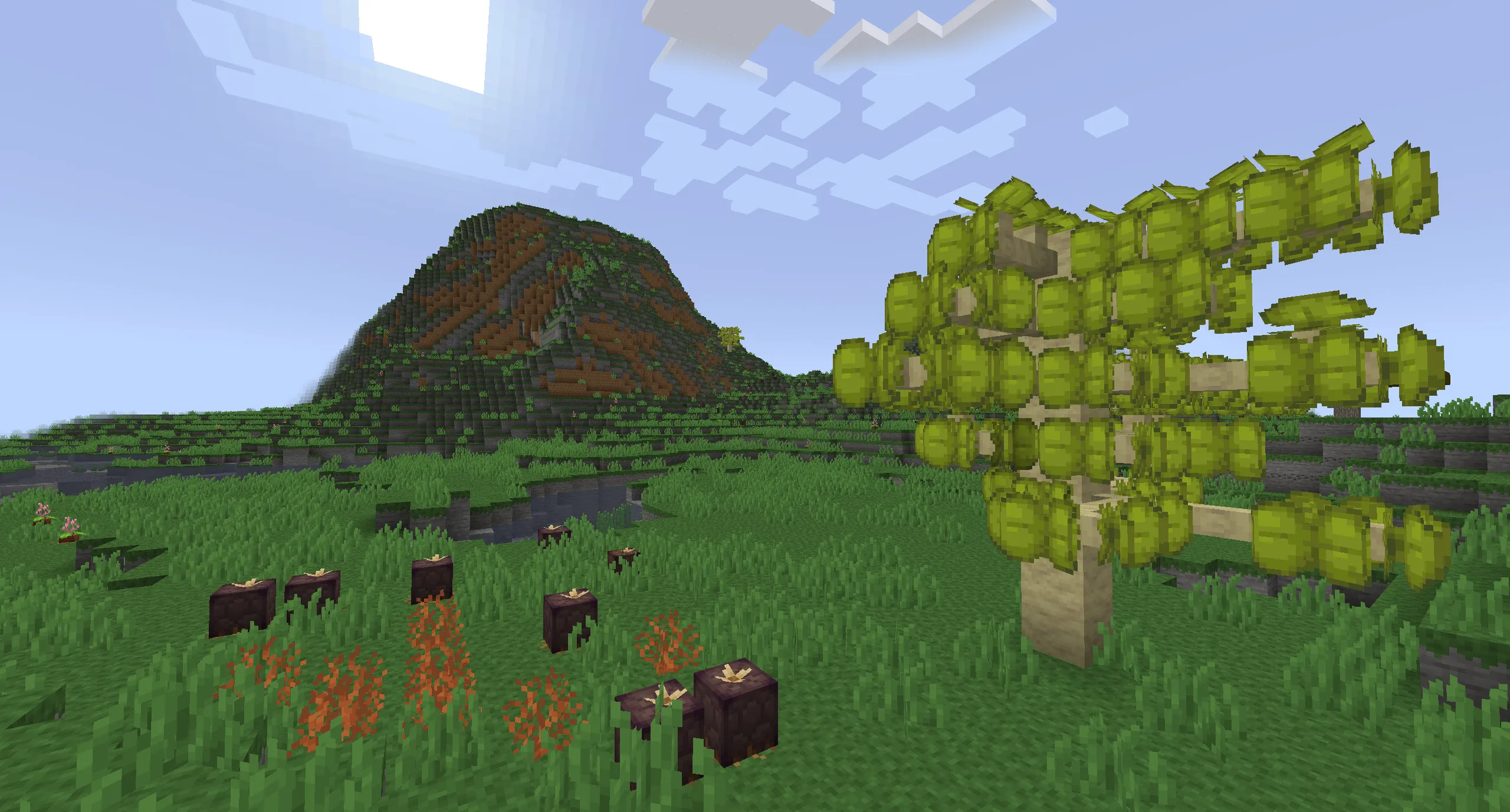 Stormward, Моды, Minecraft