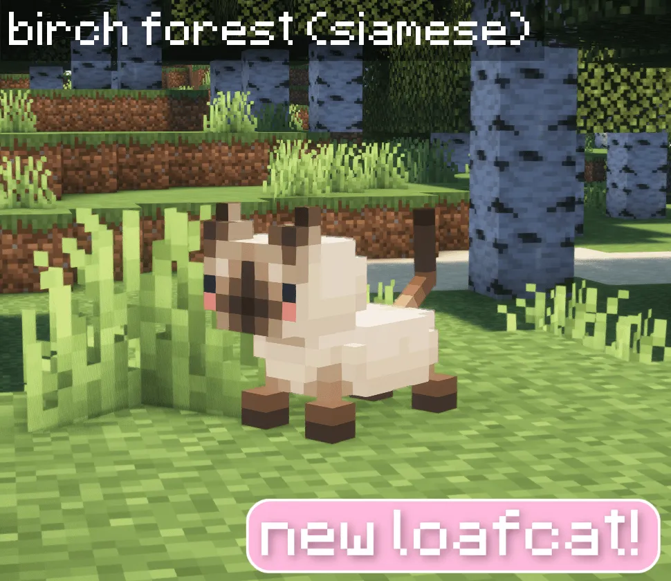 Loaf Cats, Моды, Minecraft