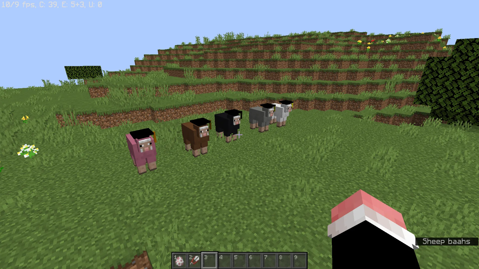 Sheep with graduation caps — скриншот 1 (Текстуры, Minecraft)