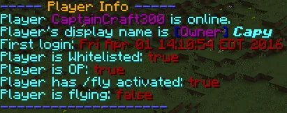 Player Info — скриншот 1 (Плагины, Minecraft)