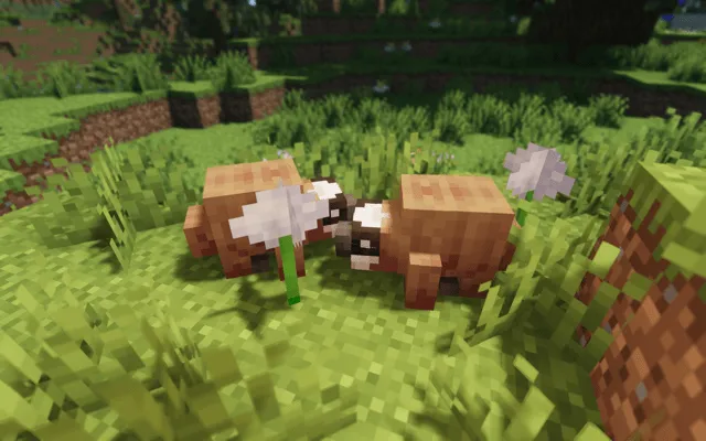 The Ancient Dawn - Prehistoric Journey, Модпаки, Minecraft