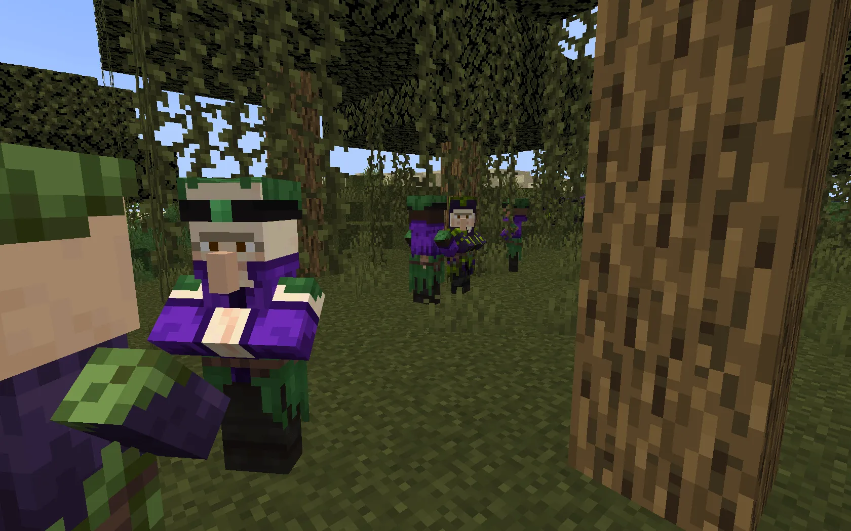 JMG´s Villager Diversity (Wanderful Clothes) - (Optfine Required), Текстуры, Minecraft
