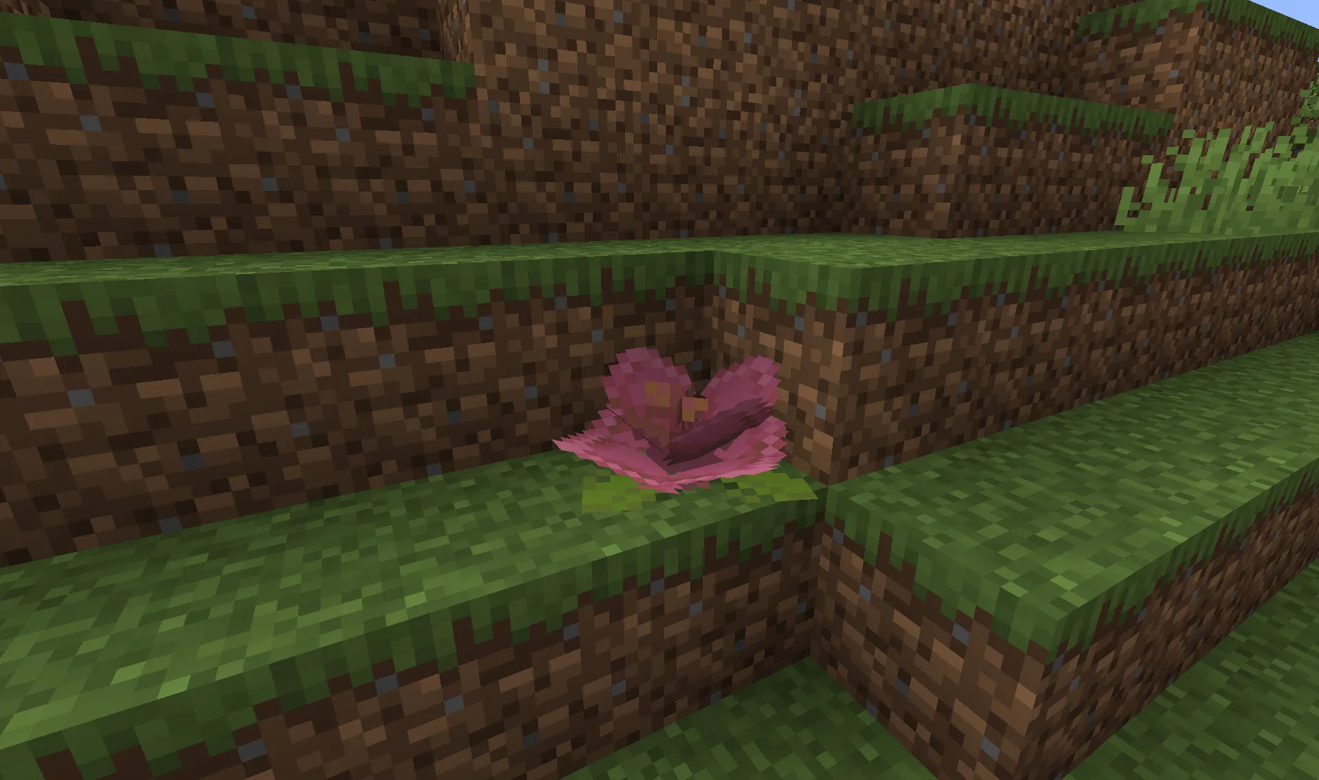 Disease N' Decease — скриншот 2 (Моды, Minecraft)