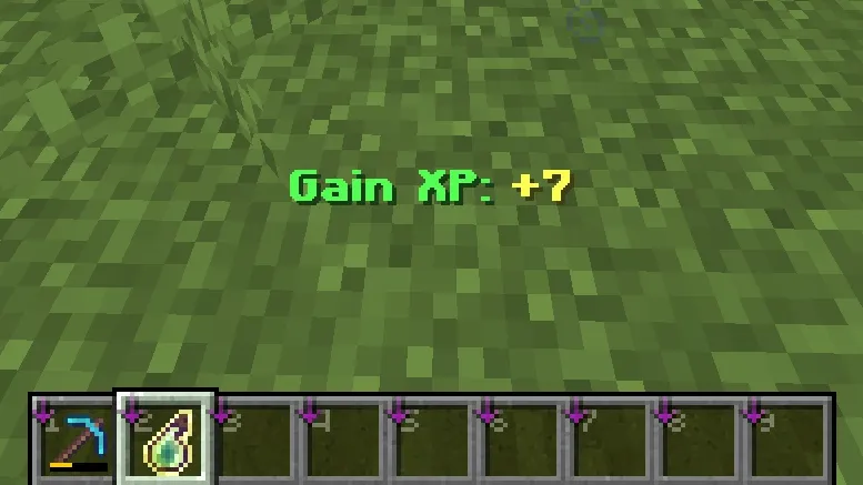 GainExpDisplay — скриншот 2 (Плагины, Minecraft)