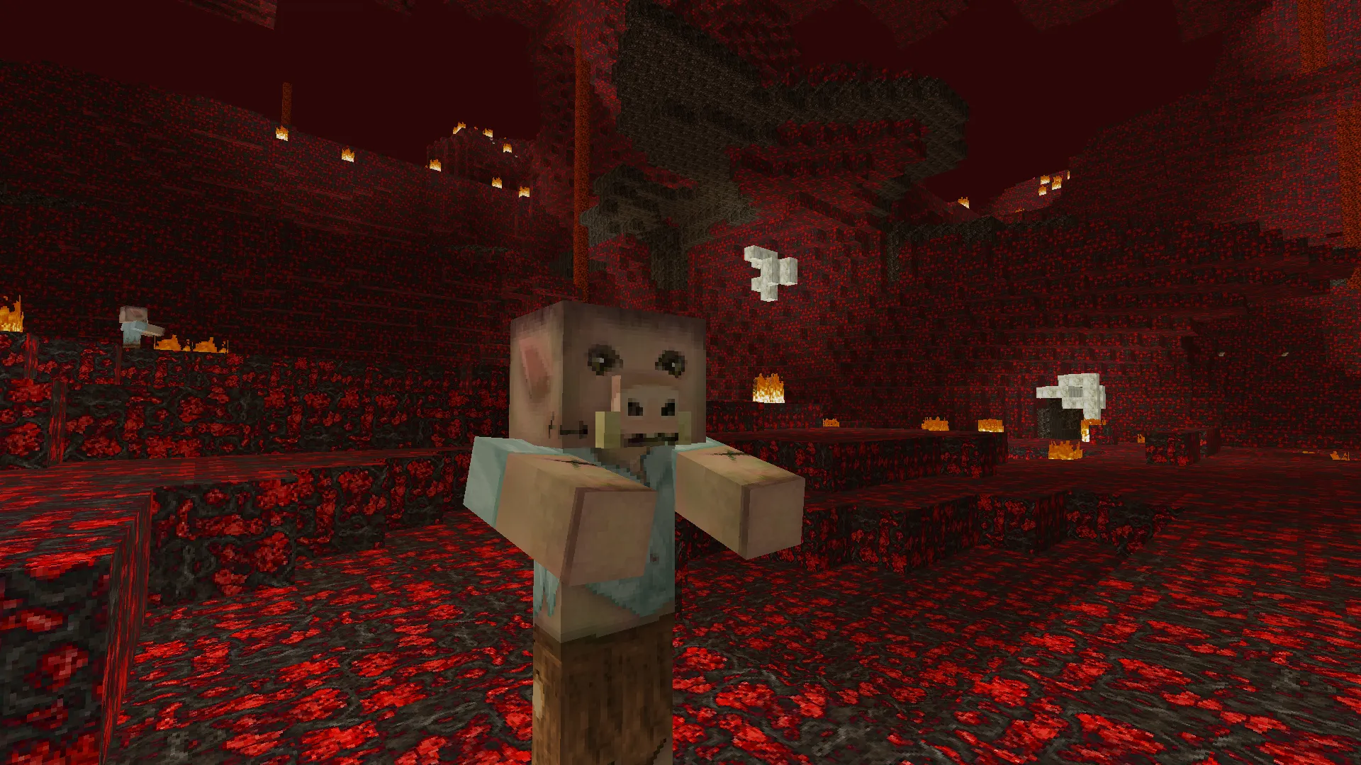 Debitor V1.16.5, Текстуры, Minecraft