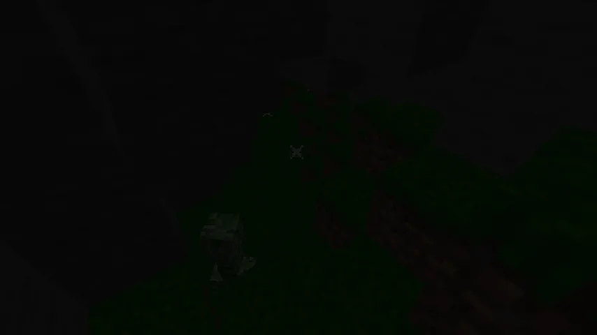 More Biomes, Моды, Minecraft