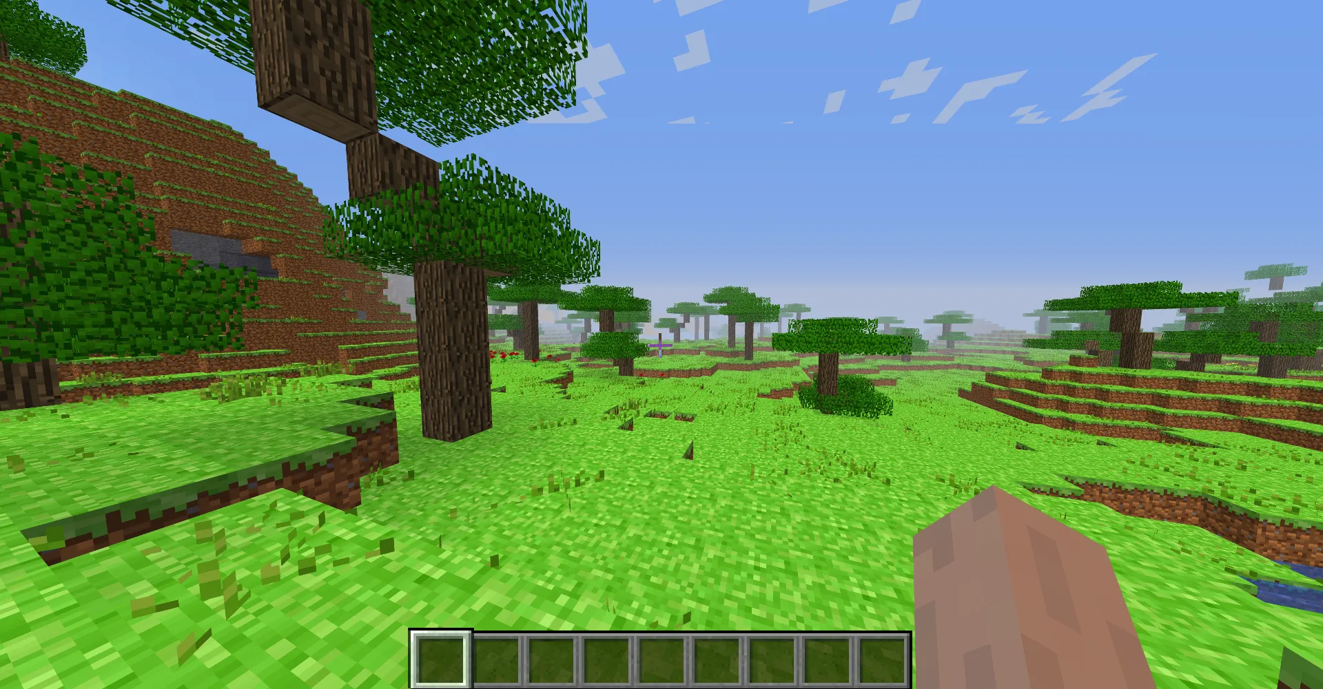 Early Beta Minecraft, Текстуры, Minecraft