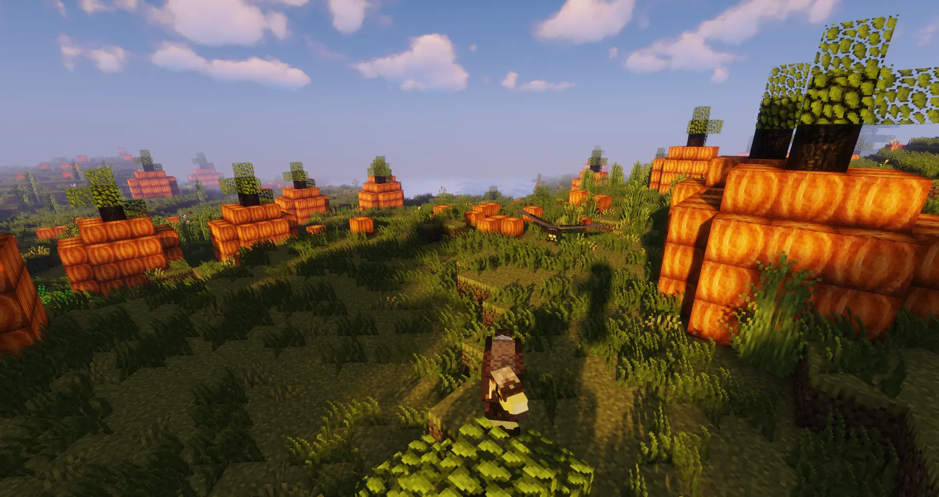 Cozy Farming — скриншот 1 (Модпаки, Minecraft)